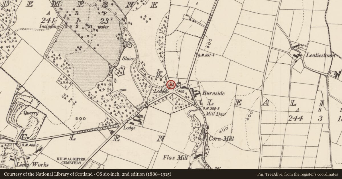 Ordnance Survey six-inch map, 2nd edition (1888–1915) covering the location of Gate lodge and Gate Screen Kilwaughter Castle, Demesne, Mid and East Antrim, with a pin at the register's coordinates
