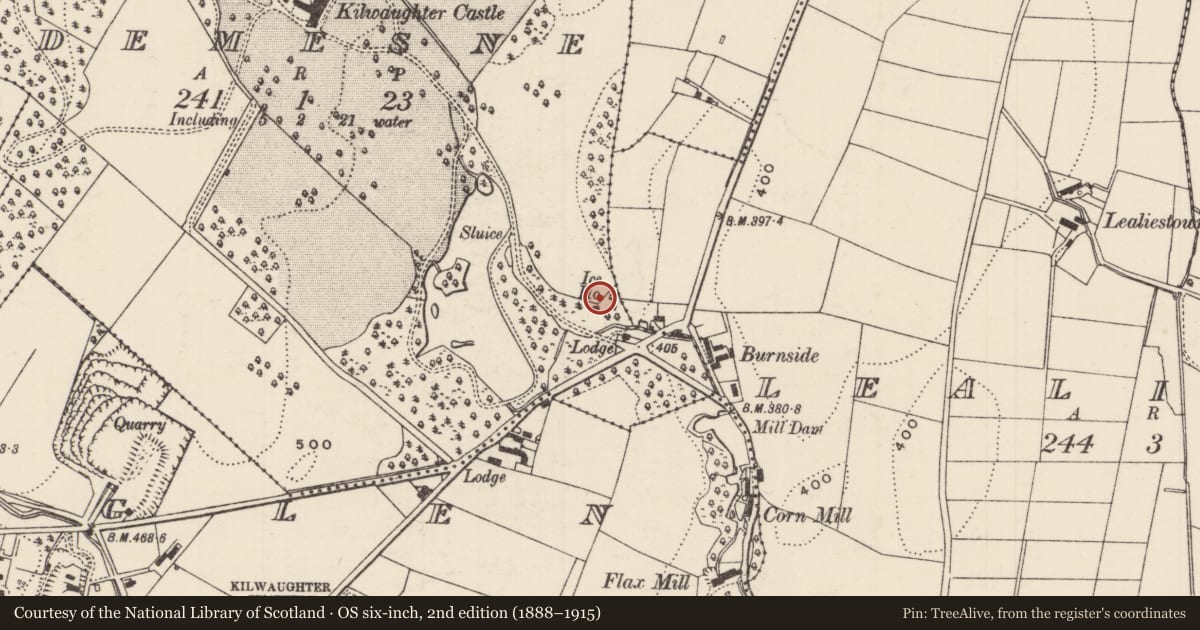 Ordnance Survey six-inch map, 2nd edition (1888–1915) covering the location of Ice House, Demesne, Mid and East Antrim, with a pin at the register's coordinates
