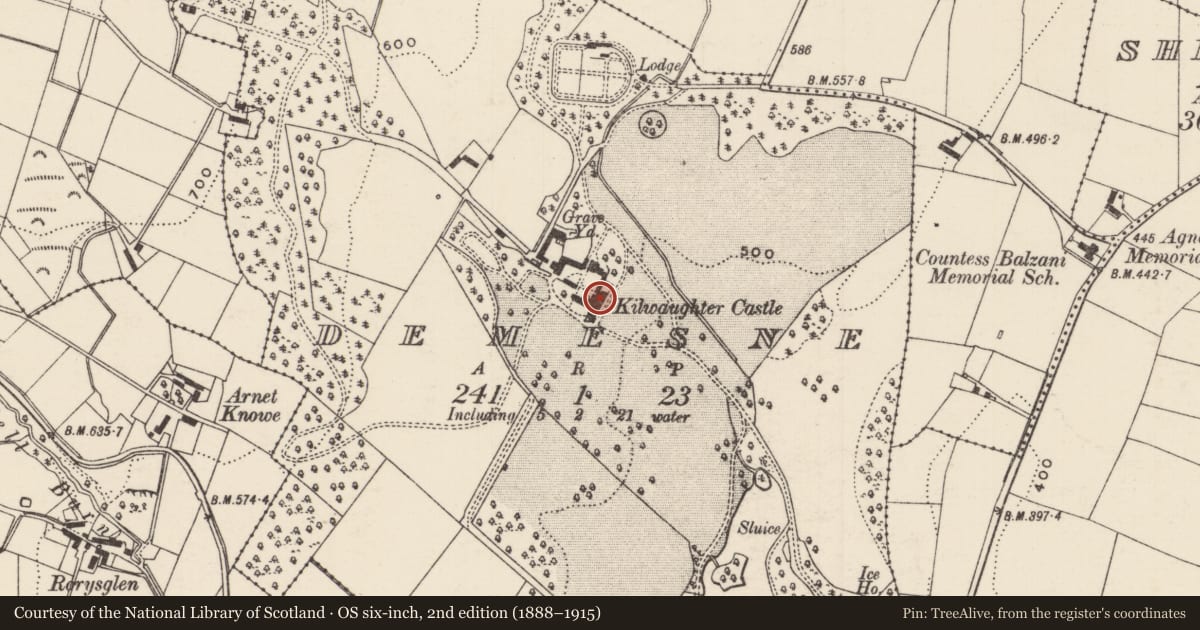 Ordnance Survey six-inch map, 2nd edition (1888–1915) covering the location of Kilwaughter Castle, Demesne, Mid and East Antrim, with a pin at the register's coordinates
