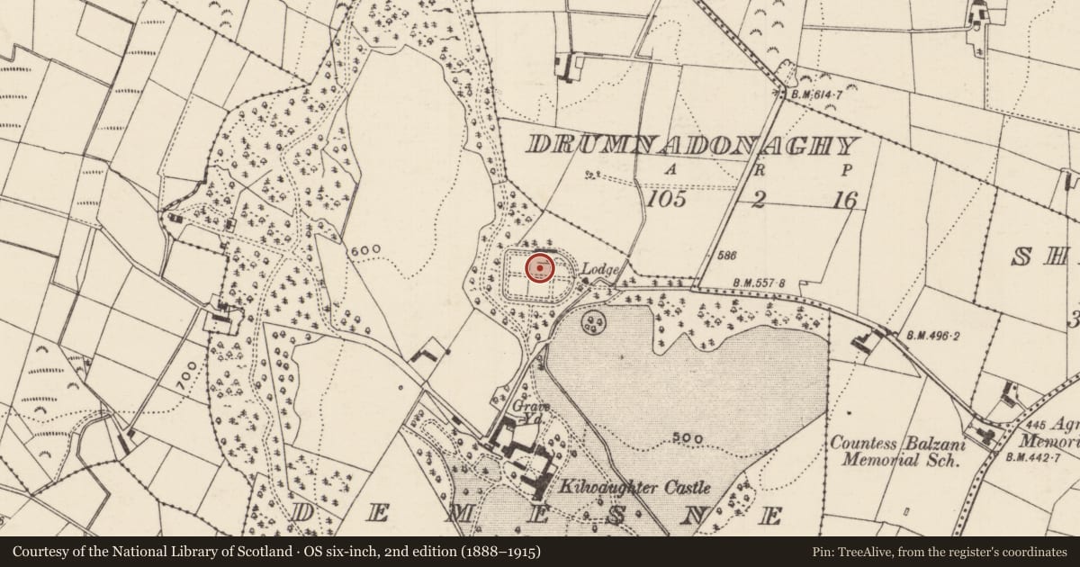 Ordnance Survey six-inch map, 2nd edition (1888–1915) covering the location of Walled Garden Structure, Demesne, Mid and East Antrim, with a pin at the register's coordinates