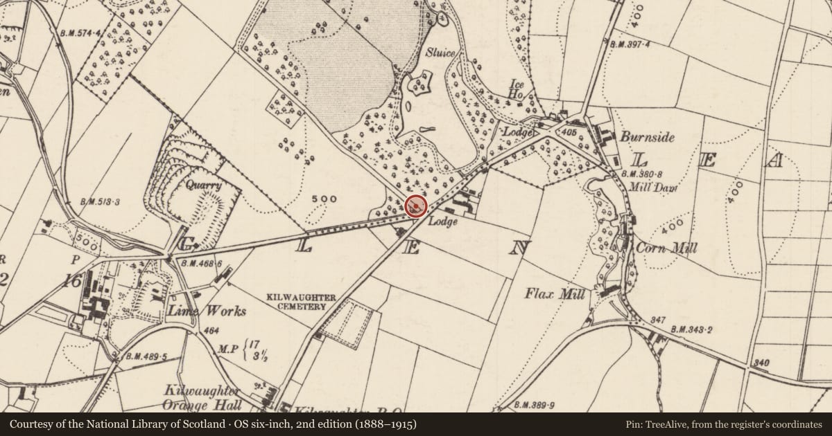 Ordnance Survey six-inch map, 2nd edition (1888–1915) covering the location of Gate lodge to Kilwaughter Castle, Demesne, Mid and East Antrim, with a pin at the register's coordinates