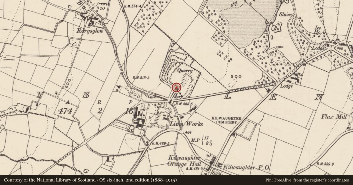 Ordnance Survey six-inch map, 2nd edition (1888–1915) covering the location of Kilwaughter Limeworks, Rory’s Glen, Mid and East Antrim, with a pin at the register's coordinates