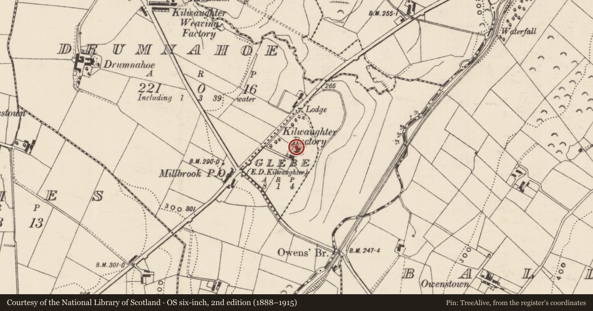 Ordnance Survey six-inch map, 2nd edition (1888–1915) covering the location of Glebe House, Mid and East Antrim, with a pin at the register's coordinates