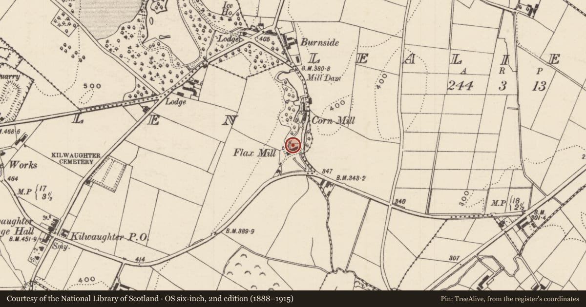 Ordnance Survey six-inch map, 2nd edition (1888–1915) covering the location of Saw Mill, Rory's Glen, Mid and East Antrim, with a pin at the register's coordinates