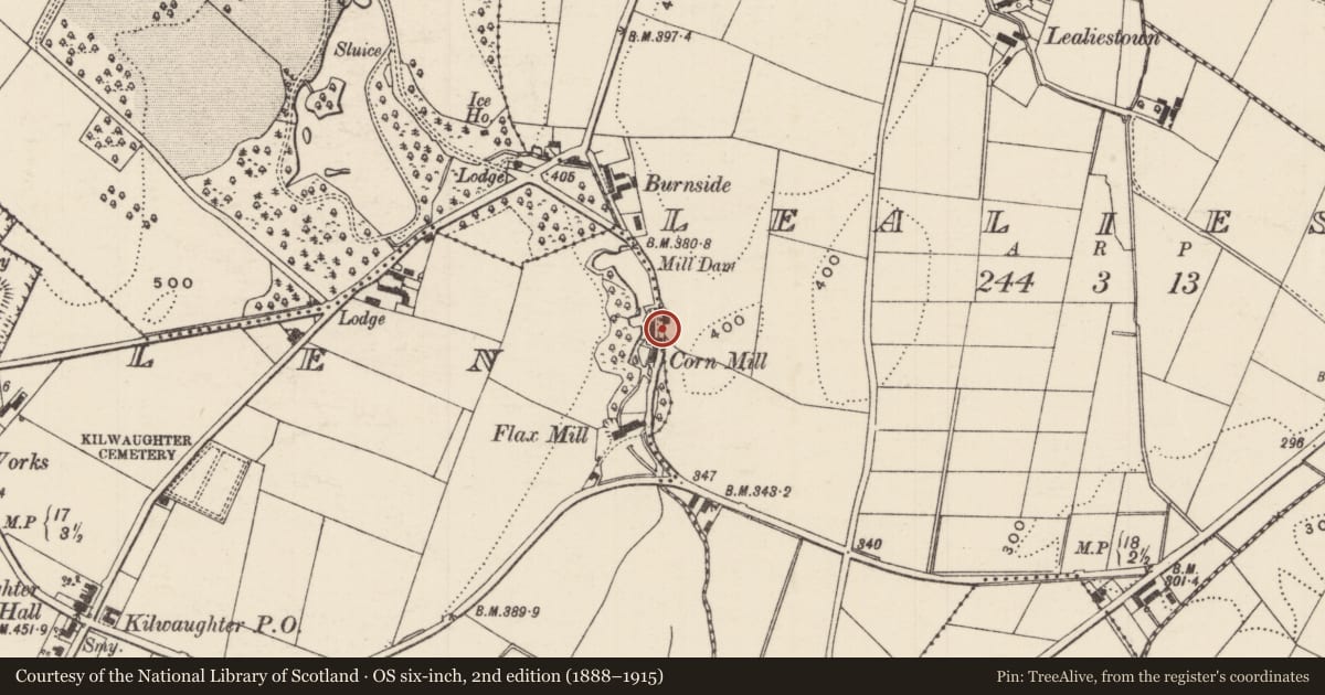Ordnance Survey six-inch map, 2nd edition (1888–1915) covering the location of Corn Mill, Rory’s Glen, Mid and East Antrim, with a pin at the register's coordinates