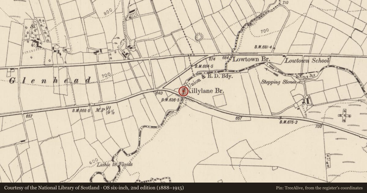 Ordnance Survey six-inch map, 2nd edition (1888–1915) covering the location of Killylane Bridge, Mid and East Antrim, with a pin at the register's coordinates