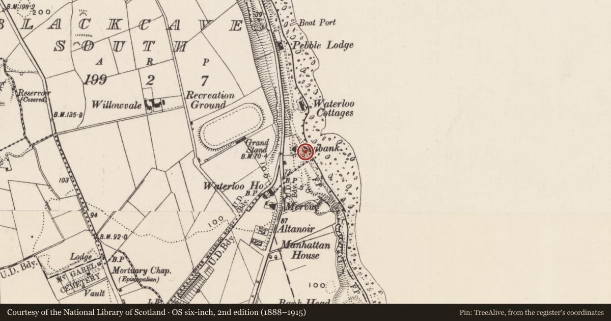 Ordnance Survey six-inch map, 2nd edition (1888–1915) covering the location of Lime kilns, None, Mid and East Antrim, with a pin at the register's coordinates