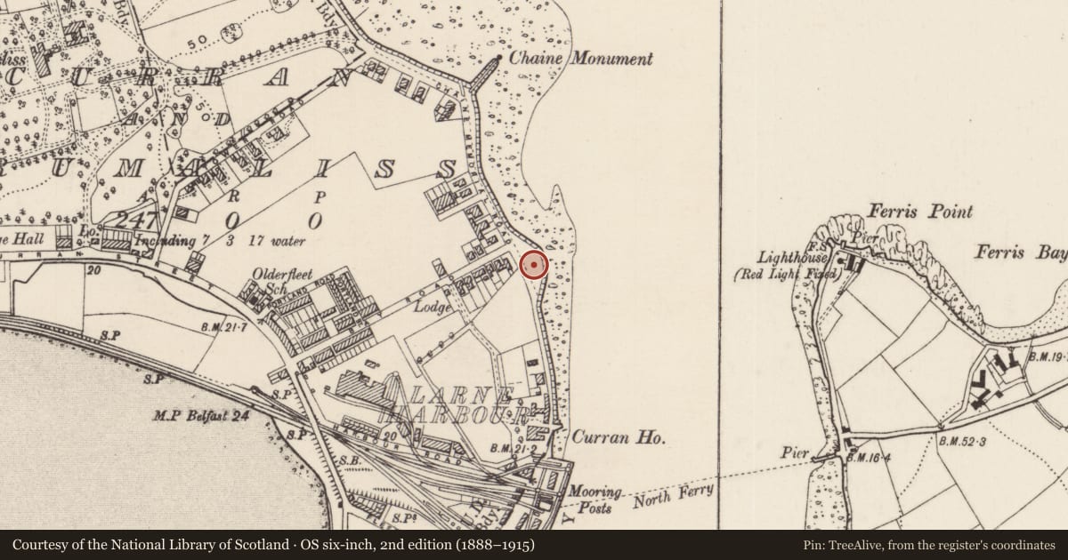 Ordnance Survey six-inch map, 2nd edition (1888–1915) covering the location of Clyde Valley Memorial, None, Mid and East Antrim, with a pin at the register's coordinates