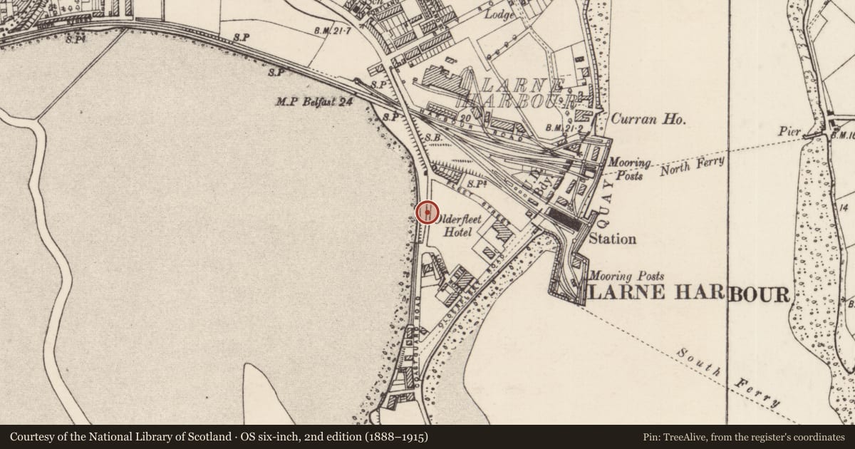 Ordnance Survey six-inch map, 2nd edition (1888–1915) covering the location of Curran Lodge, None, Mid and East Antrim, with a pin at the register's coordinates