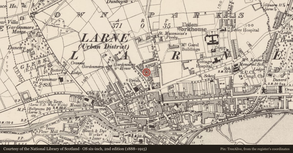 Ordnance Survey six-inch map, 2nd edition (1888–1915) covering the location of Masonic Hall, Town Parks, Mid and East Antrim, with a pin at the register's coordinates