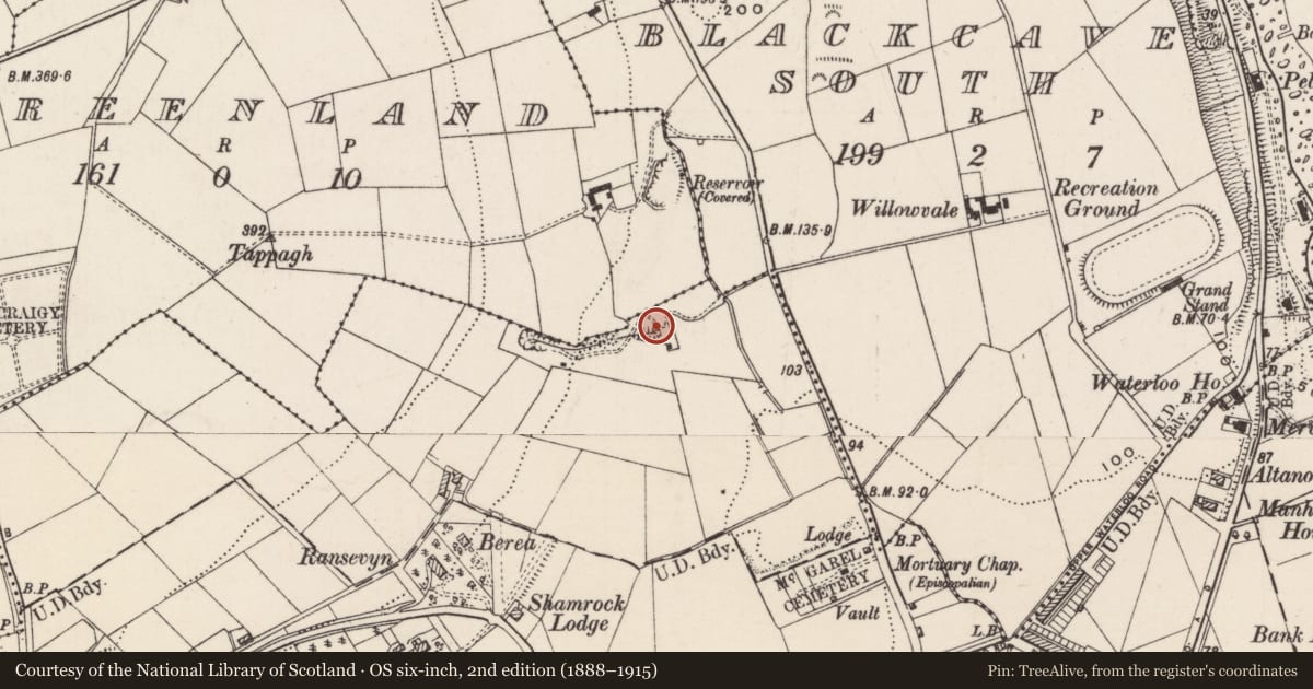 Ordnance Survey six-inch map, 2nd edition (1888–1915) covering the location of Lime kilns, Town Parks, Mid and East Antrim, with a pin at the register's coordinates