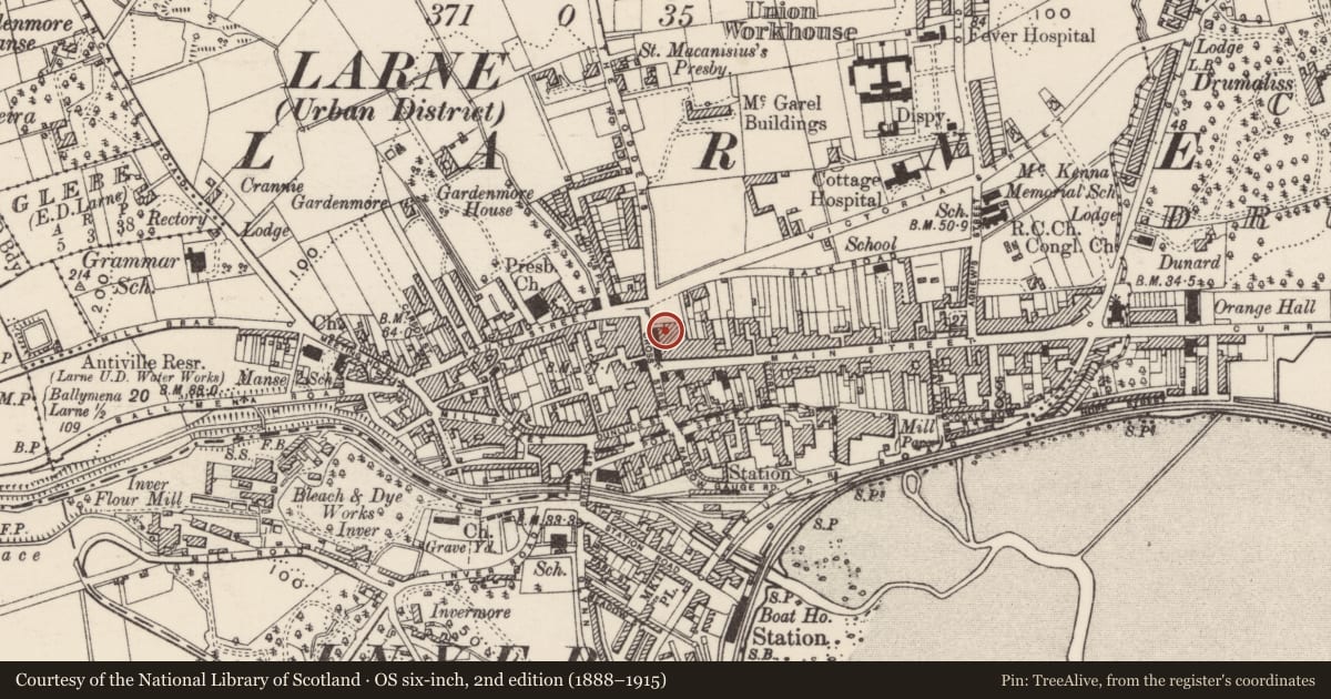 Ordnance Survey six-inch map, 2nd edition (1888–1915) covering the location of Town hall, Town Parks, Mid and East Antrim, with a pin at the register's coordinates