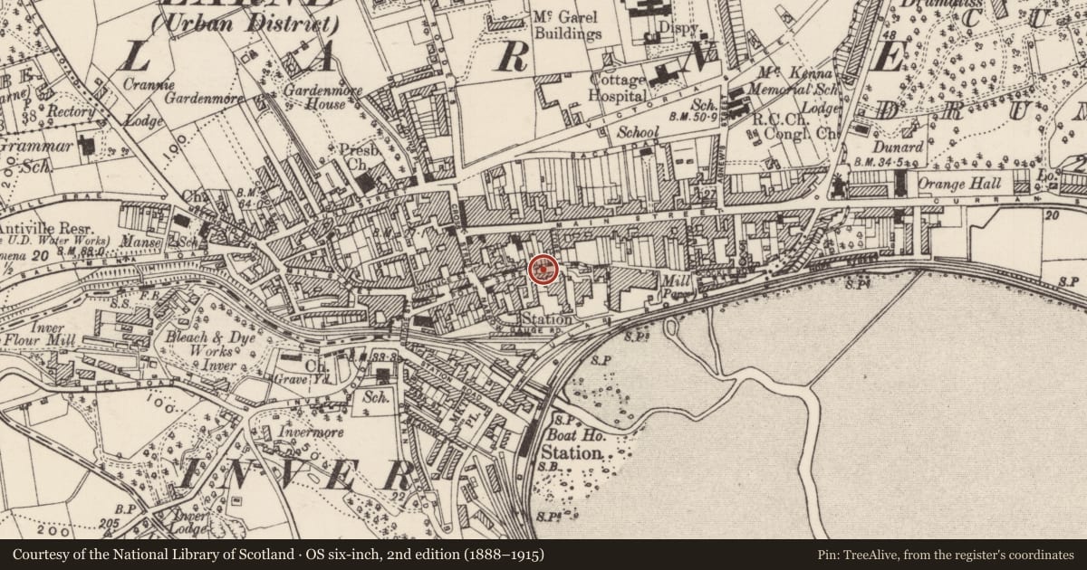 Ordnance Survey six-inch map, 2nd edition (1888–1915) covering the location of 49 Point Street, Inver, Mid and East Antrim, with a pin at the register's coordinates