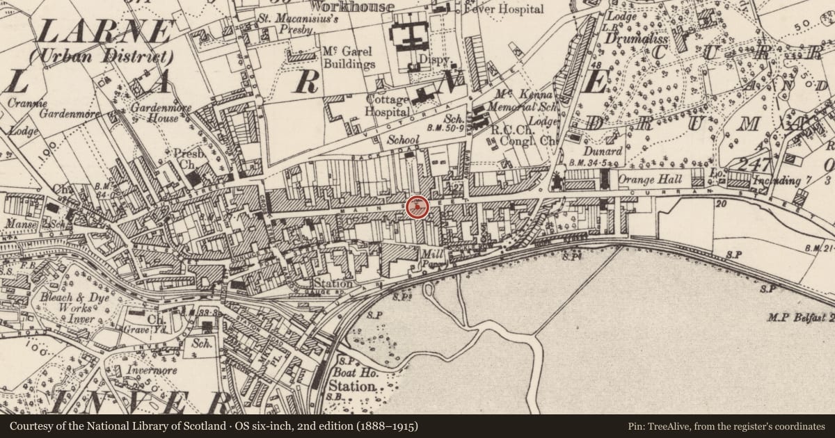Ordnance Survey six-inch map, 2nd edition (1888–1915) covering the location of McNeill’s Hotel, Town Parks, Mid and East Antrim, with a pin at the register's coordinates