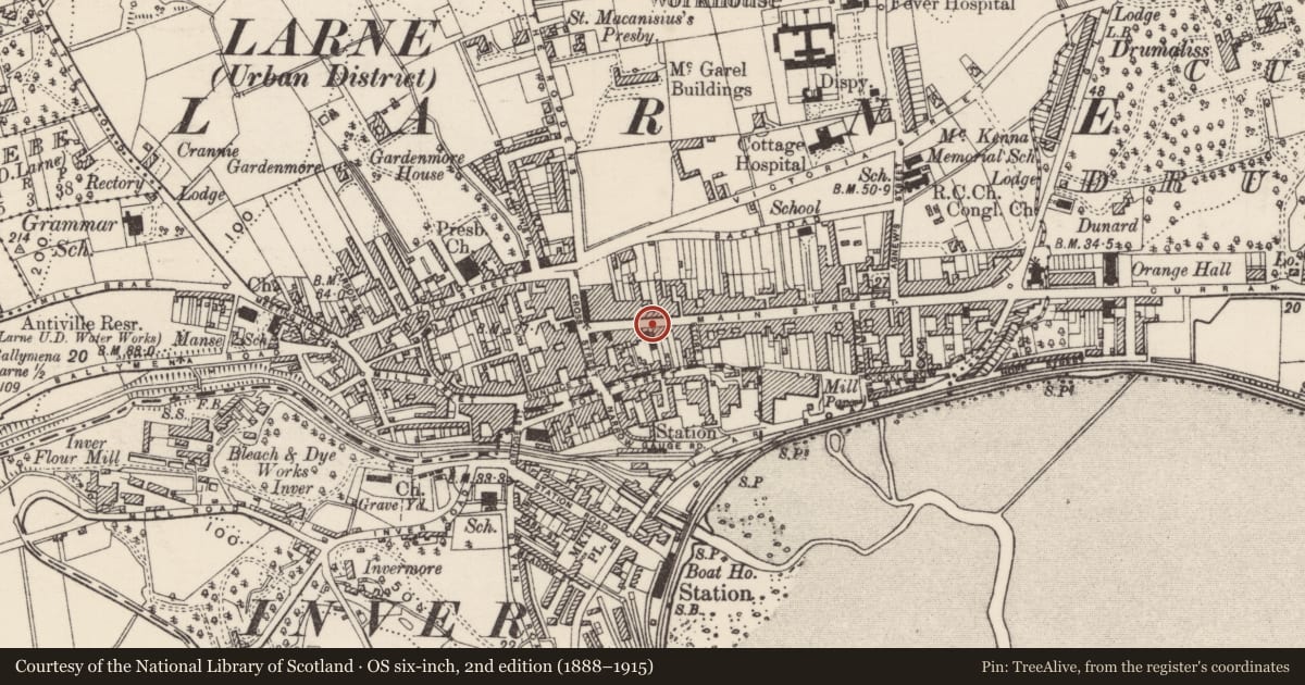 Ordnance Survey six-inch map, 2nd edition (1888–1915) covering the location of Belfast Bank, Town Parks, Mid and East Antrim, with a pin at the register's coordinates