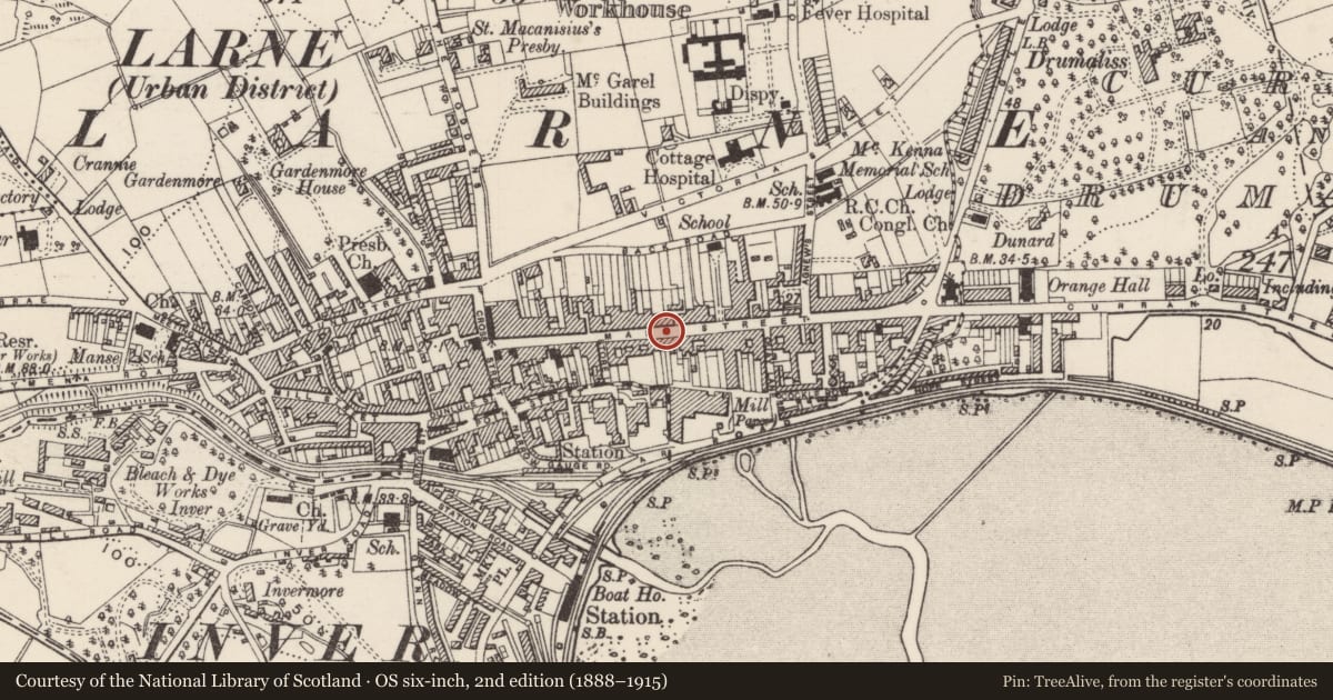Ordnance Survey six-inch map, 2nd edition (1888–1915) covering the location of Bank of Ireland, Town Parks, Mid and East Antrim, with a pin at the register's coordinates