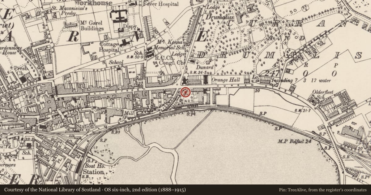 Ordnance Survey six-inch map, 2nd edition (1888–1915) covering the location of Regal Cinema, Town Parks, Mid and East Antrim, with a pin at the register's coordinates