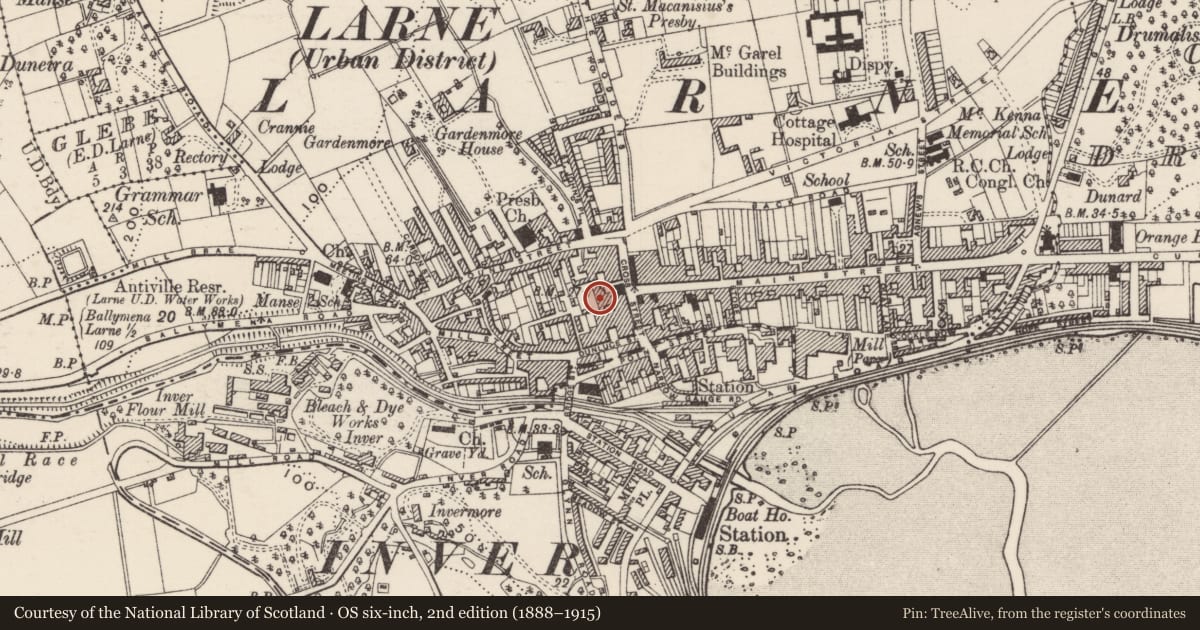Ordnance Survey six-inch map, 2nd edition (1888–1915) covering the location of First Trust Bank, Town Parks, Mid and East Antrim, with a pin at the register's coordinates