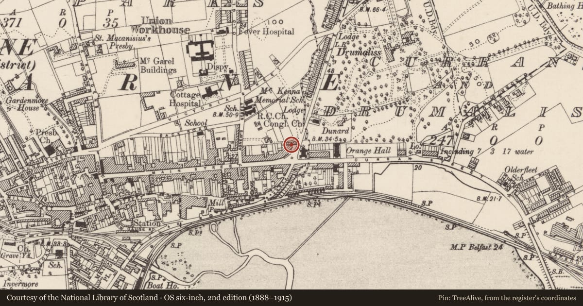 Ordnance Survey six-inch map, 2nd edition (1888–1915) covering the location of Laharna Hotel, Town Parks, Mid and East Antrim, with a pin at the register's coordinates