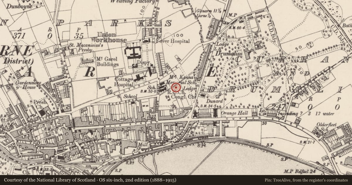 Ordnance Survey six-inch map, 2nd edition (1888–1915) covering the location of St Mary’s Primary School, Town Parks, Mid and East Antrim, with a pin at the register's coordinates