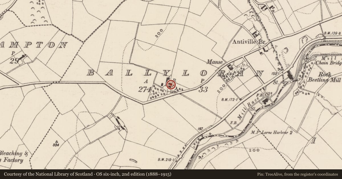 Ordnance Survey six-inch map, 2nd edition (1888–1915) covering the location of Ballyloran House, Mid and East Antrim, with a pin at the register's coordinates
