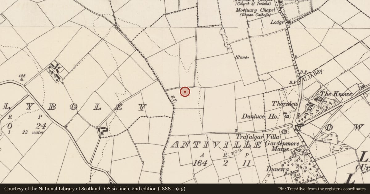 Ordnance Survey six-inch map, 2nd edition (1888–1915) covering the location of All Saints Church (C. of I.), None, Mid and East Antrim, with a pin at the register's coordinates