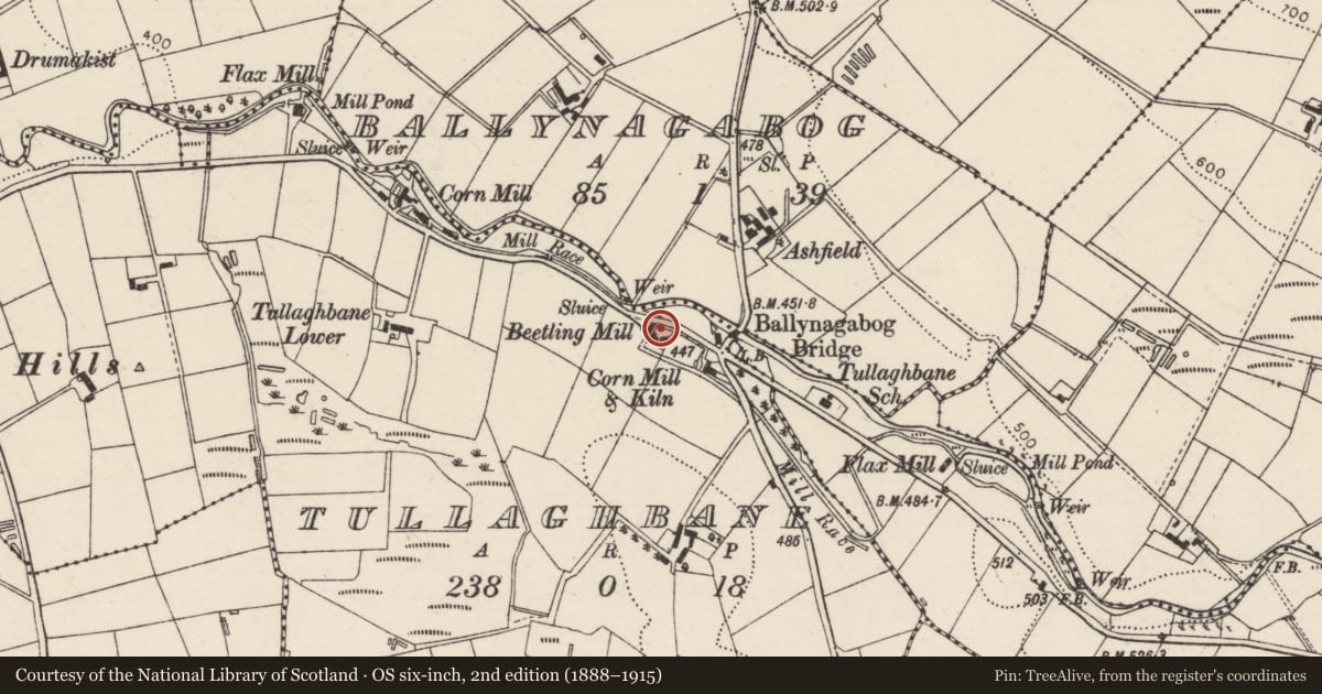 Ordnance Survey six-inch map, 2nd edition (1888–1915) covering the location of Beetling Mill, Mid and East Antrim, with a pin at the register's coordinates