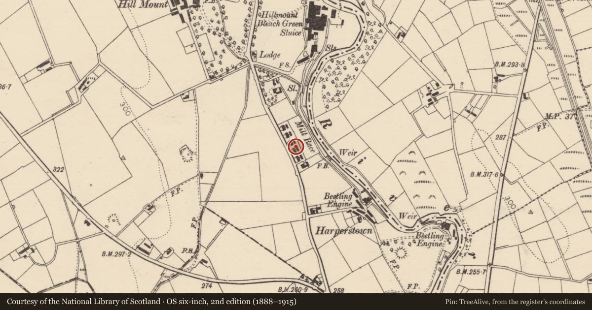 Ordnance Survey six-inch map, 2nd edition (1888–1915) covering the location of 39 Hillmount Road, Mid and East Antrim, with a pin at the register's coordinates