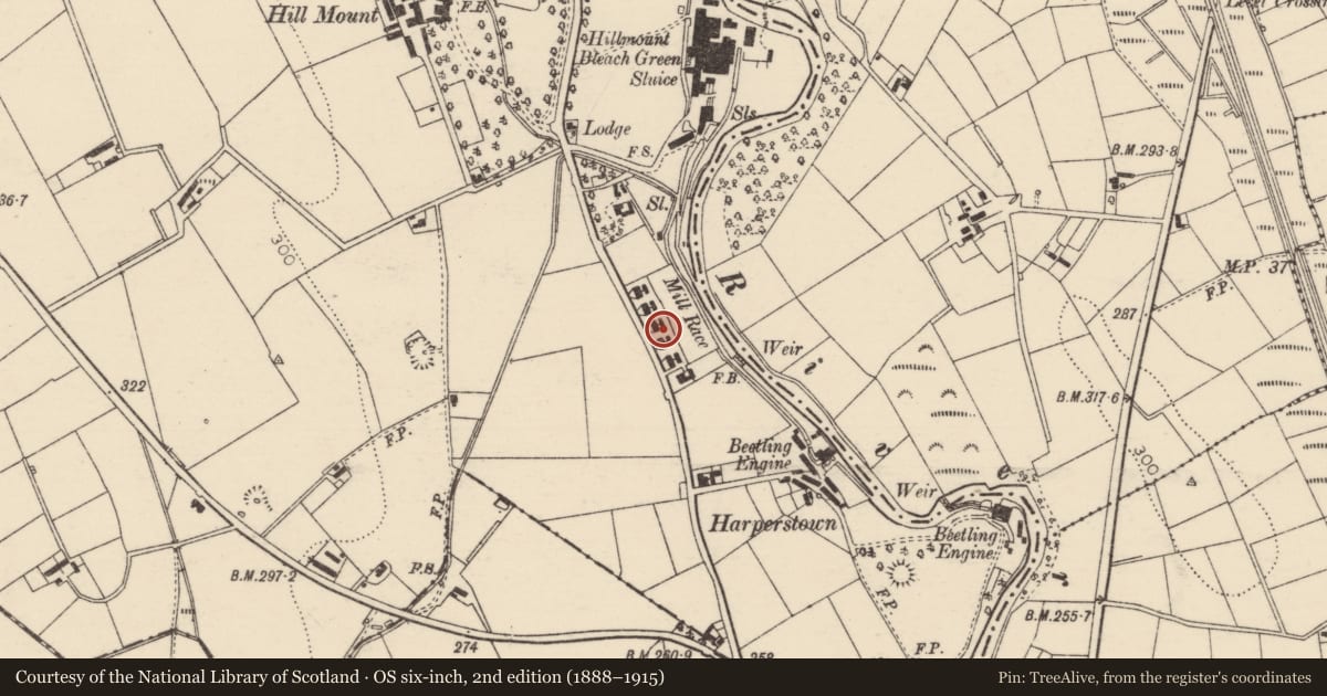 Ordnance Survey six-inch map, 2nd edition (1888–1915) covering the location of 41 Hillmount Road, Mid and East Antrim, with a pin at the register's coordinates