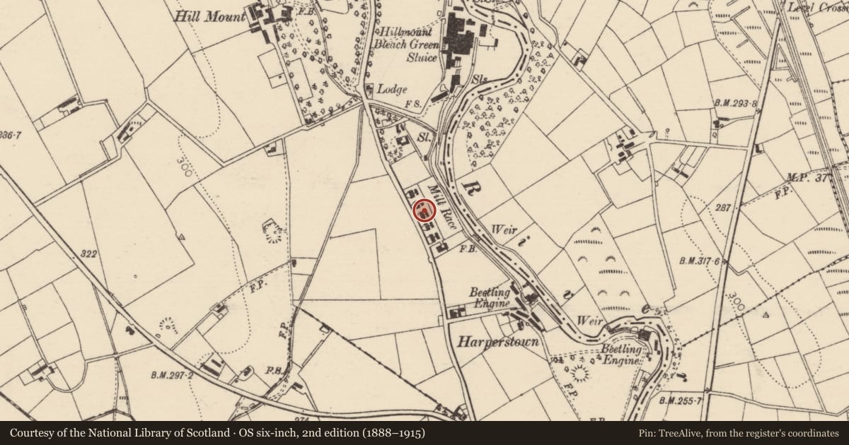 Ordnance Survey six-inch map, 2nd edition (1888–1915) covering the location of 43 Hillmount Road, Mid and East Antrim, with a pin at the register's coordinates