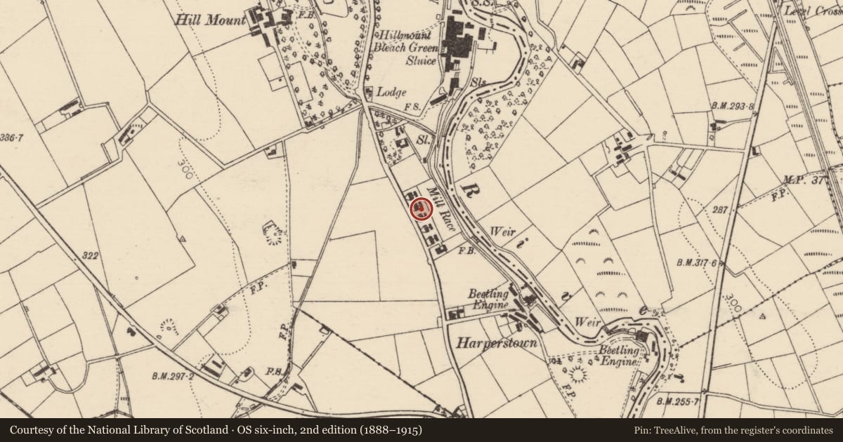 Ordnance Survey six-inch map, 2nd edition (1888–1915) covering the location of 45 Hillmount Road, Mid and East Antrim, with a pin at the register's coordinates