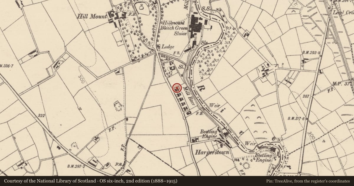 Ordnance Survey six-inch map, 2nd edition (1888–1915) covering the location of 51 Hillmount Road, Mid and East Antrim, with a pin at the register's coordinates