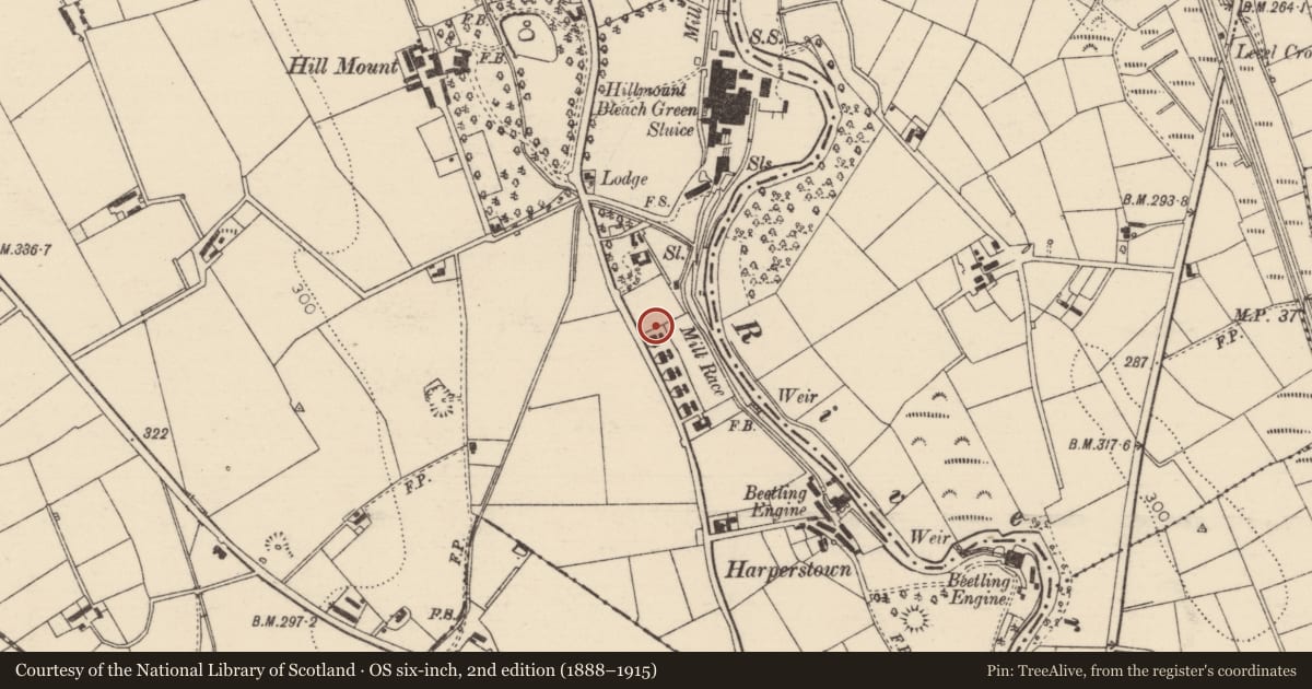 Ordnance Survey six-inch map, 2nd edition (1888–1915) covering the location of 53 Hillmount Road, Mid and East Antrim, with a pin at the register's coordinates