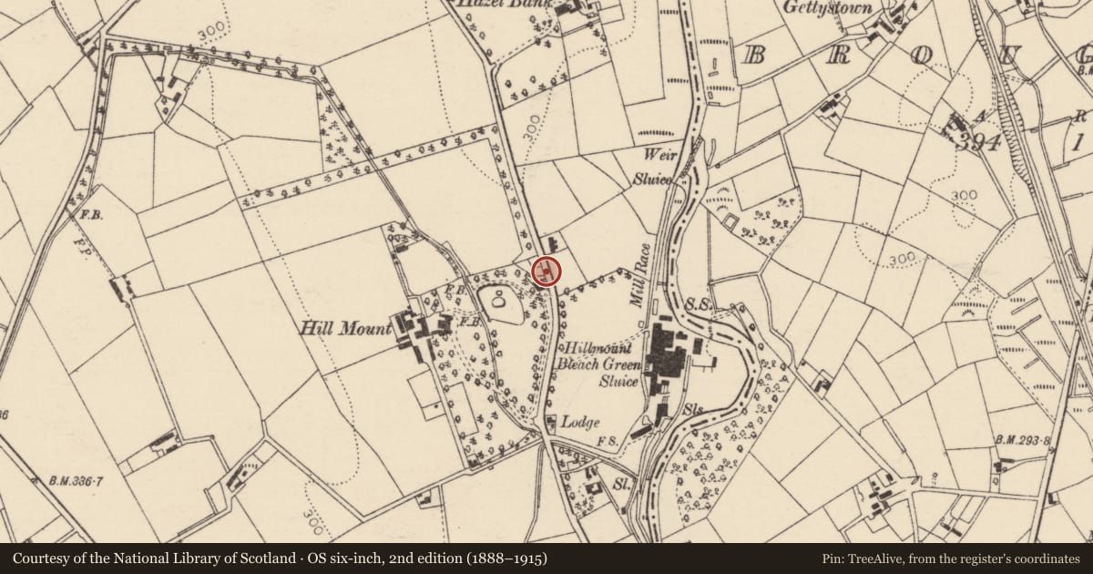 Ordnance Survey six-inch map, 2nd edition (1888–1915) covering the location of 74 Hillmount Road Gates And Railings, Mid and East Antrim, with a pin at the register's coordinates