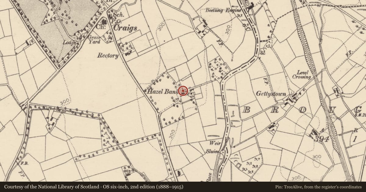 Ordnance Survey six-inch map, 2nd edition (1888–1915) covering the location of "Hazel Bank", Mid and East Antrim, with a pin at the register's coordinates