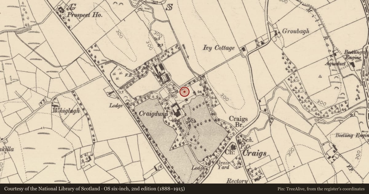 Ordnance Survey six-inch map, 2nd edition (1888–1915) covering the location of Peter Stott Martin House, Mid and East Antrim, with a pin at the register's coordinates