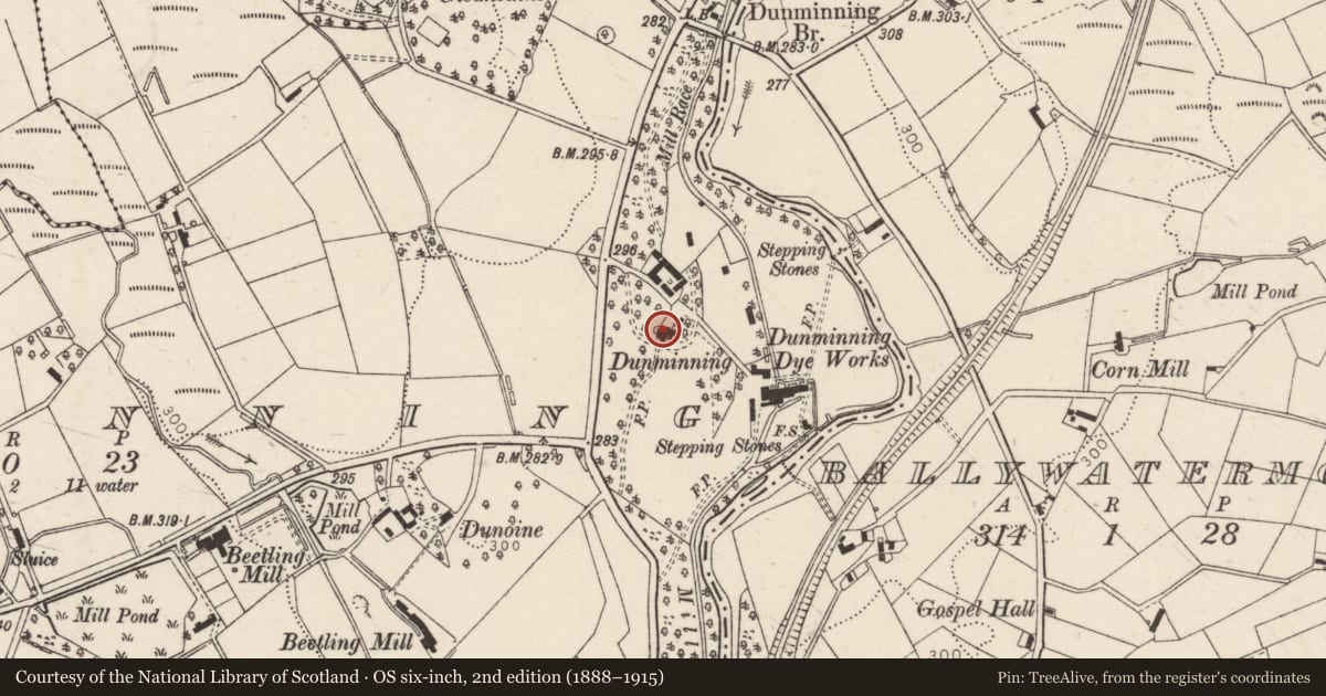Ordnance Survey six-inch map, 2nd edition (1888–1915) covering the location of Dunminning House, Mid and East Antrim, with a pin at the register's coordinates