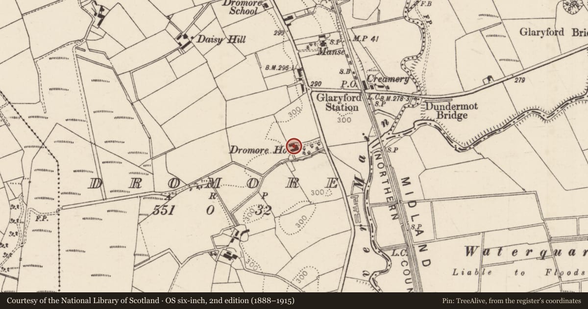 Ordnance Survey six-inch map, 2nd edition (1888–1915) covering the location of "Dromore House", Mid and East Antrim, with a pin at the register's coordinates