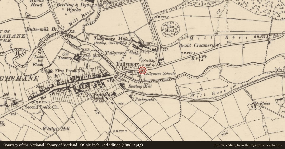 Ordnance Survey six-inch map, 2nd edition (1888–1915) covering the location of Tullymore House Carnlough Road Broughshane, Mid and East Antrim, with a pin at the register's coordinates