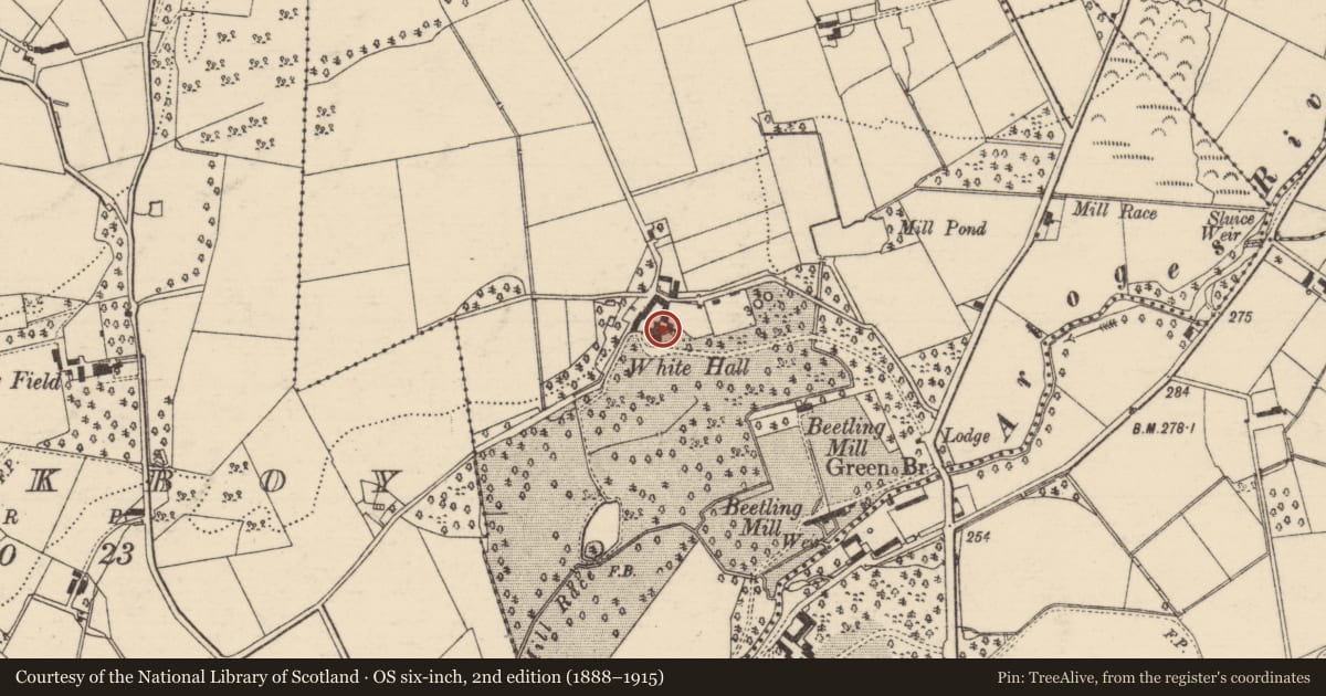 Ordnance Survey six-inch map, 2nd edition (1888–1915) covering the location of WHITEHALL, Mid and East Antrim, with a pin at the register's coordinates