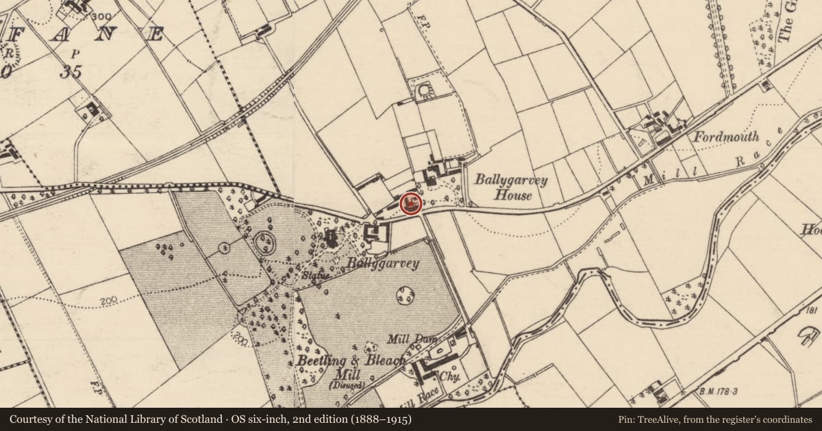 Ordnance Survey six-inch map, 2nd edition (1888–1915) covering the location of 76 Ballygarvey Road, Mid and East Antrim, with a pin at the register's coordinates