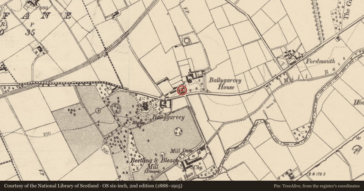 Ordnance Survey six-inch map, 2nd edition (1888–1915) covering the location of 78 Ballygarvey Road, Mid and East Antrim, with a pin at the register's coordinates