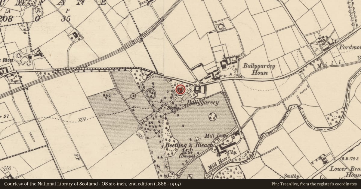 Ordnance Survey six-inch map, 2nd edition (1888–1915) covering the location of BALLYGARVEY, Mid and East Antrim, with a pin at the register's coordinates