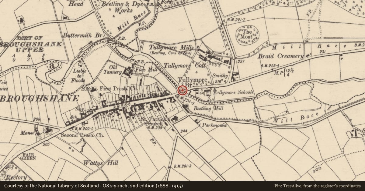 Ordnance Survey six-inch map, 2nd edition (1888–1915) covering the location of Tullymore Bridge Carnlough Road Broughshane, Mid and East Antrim, with a pin at the register's coordinates