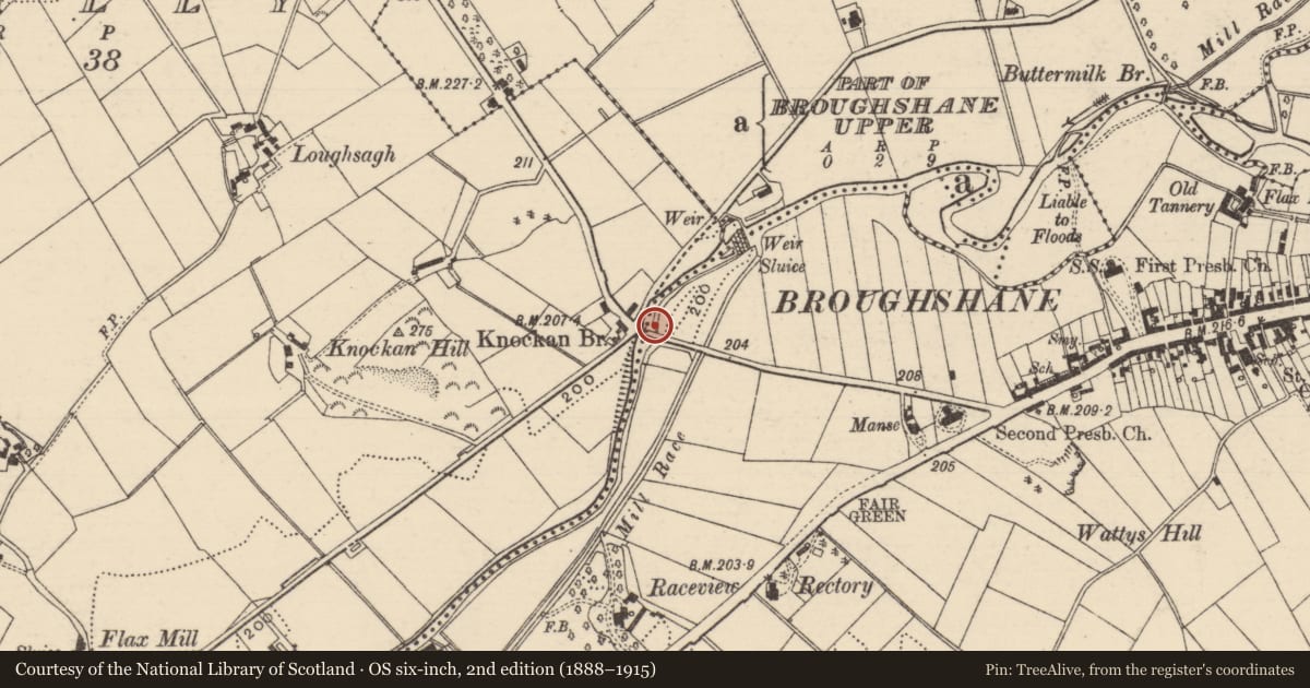 Ordnance Survey six-inch map, 2nd edition (1888–1915) covering the location of Knockan Bridge, Mid and East Antrim, with a pin at the register's coordinates
