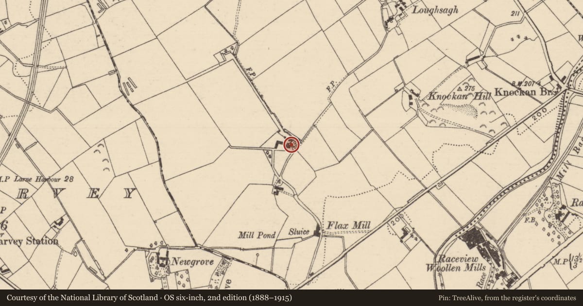 Ordnance Survey six-inch map, 2nd edition (1888–1915) covering the location of Kinbally House, Mid and East Antrim, with a pin at the register's coordinates