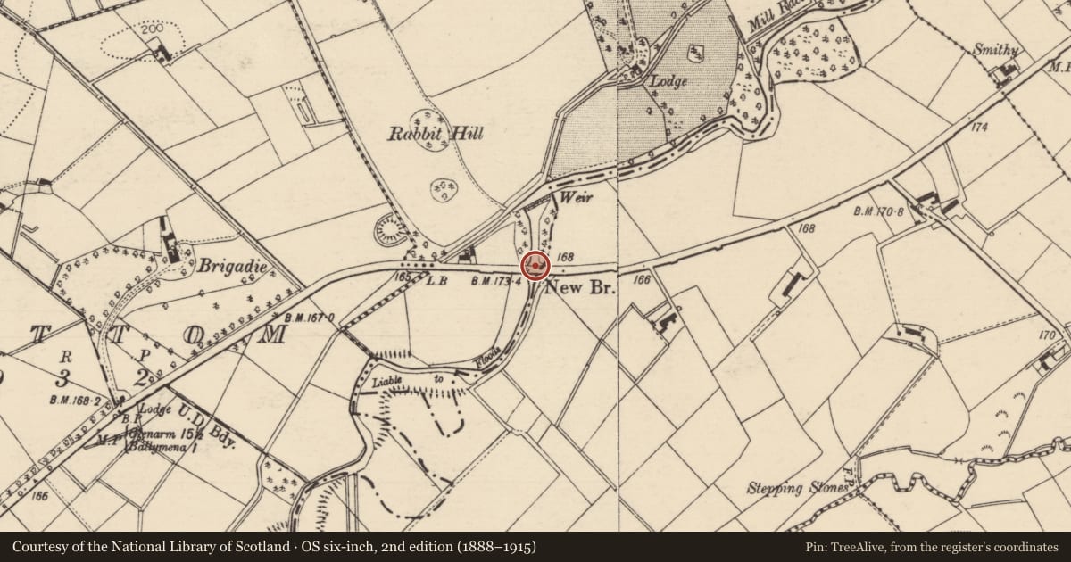 Ordnance Survey six-inch map, 2nd edition (1888–1915) covering the location of New Bridge, (Aka Correll Bridge), Mid and East Antrim, with a pin at the register's coordinates