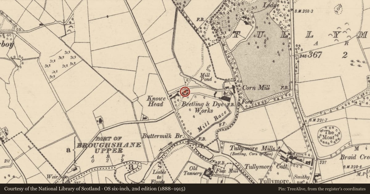 Ordnance Survey six-inch map, 2nd edition (1888–1915) covering the location of Knowe Head, 45 Knowehead Road, Broughshane, Co Antrim, BT43 7LF, Knockboy, Mid and East Antrim, with a pin at the register's coordinates