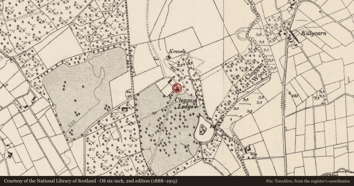 Ordnance Survey six-inch map, 2nd edition (1888–1915) covering the location of "Cleggan Lodge", Mid and East Antrim, with a pin at the register's coordinates