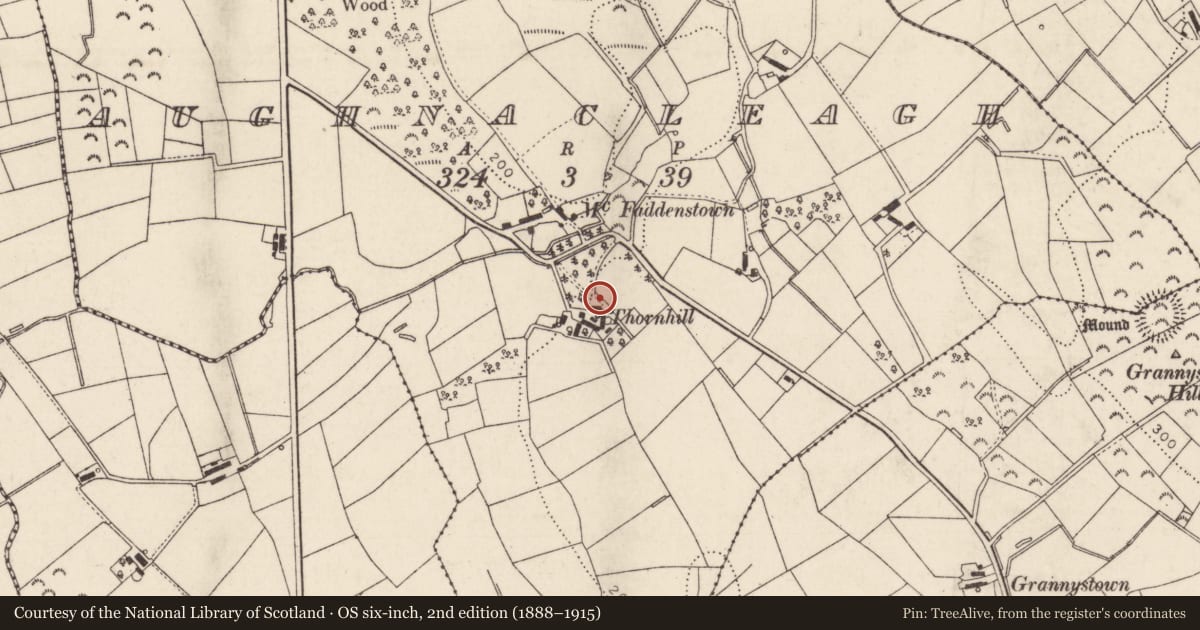 Ordnance Survey six-inch map, 2nd edition (1888–1915) covering the location of THORNHILL, Mid and East Antrim, with a pin at the register's coordinates